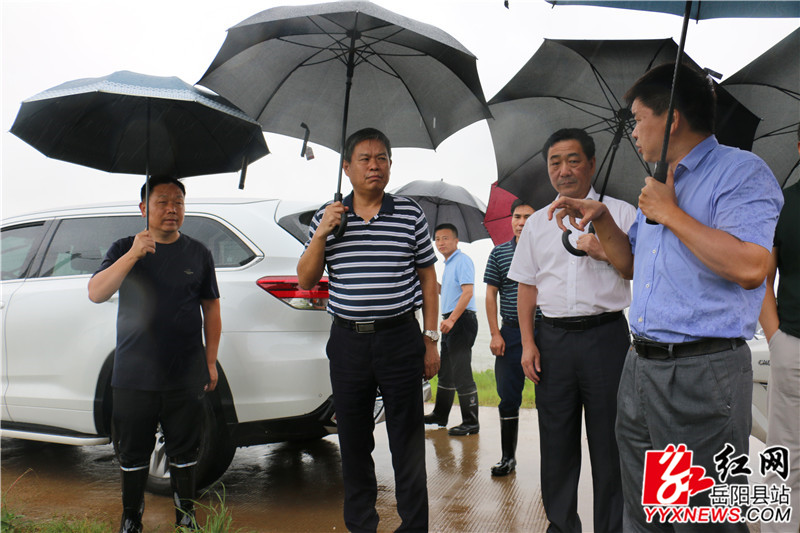 胡甲均在麻塘大堤详细了解雨情、汛期、堤坝安全等情况。.jpg