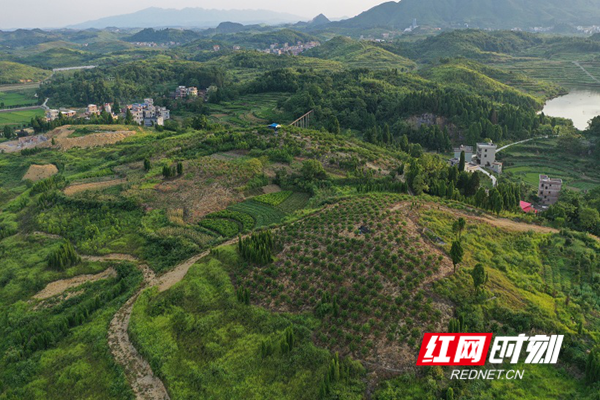 花果山老总_花果山水帘洞(2)