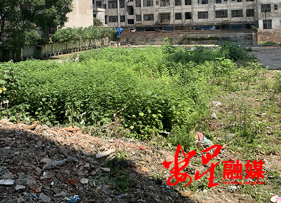 游泳池1.png