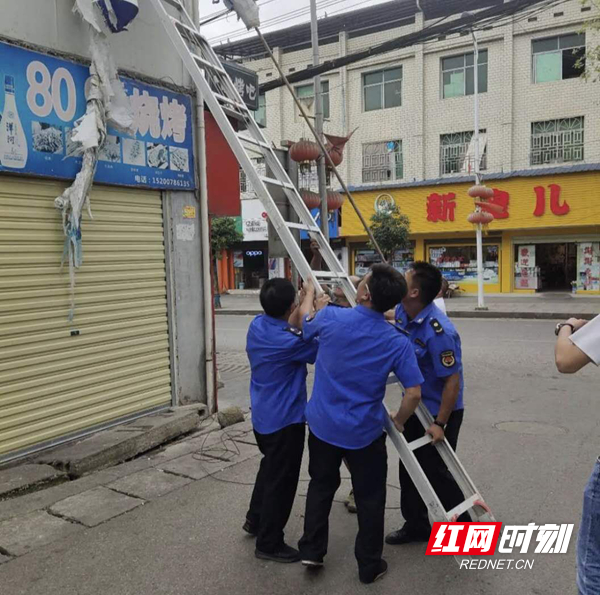 图片10.jpg