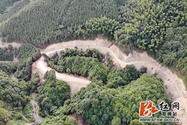 1五里牌镇盘大岭村：大山深处展宏图 搭建金窝引凤凰 (1)_副本.jpg