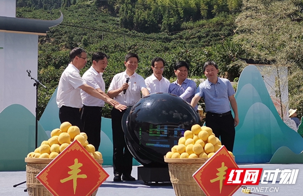 黄桃大会现场图（图片来源：新湖南）.jpg