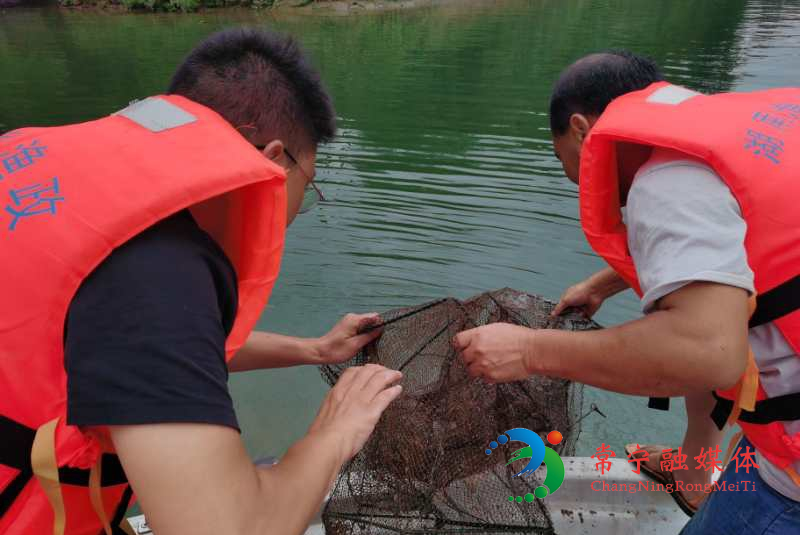 a2bced865cd53ed1aa793ea16900551_看图王.jpg a2bced865cd53ed1aa793ea16900551_看图王.jpg