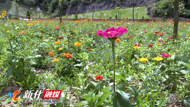 微信图片_20200725092625.jpg 微信图片_20200725092625.jpg