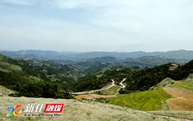 微信图片_20200725092630.jpg 微信图片_20200725092630.jpg