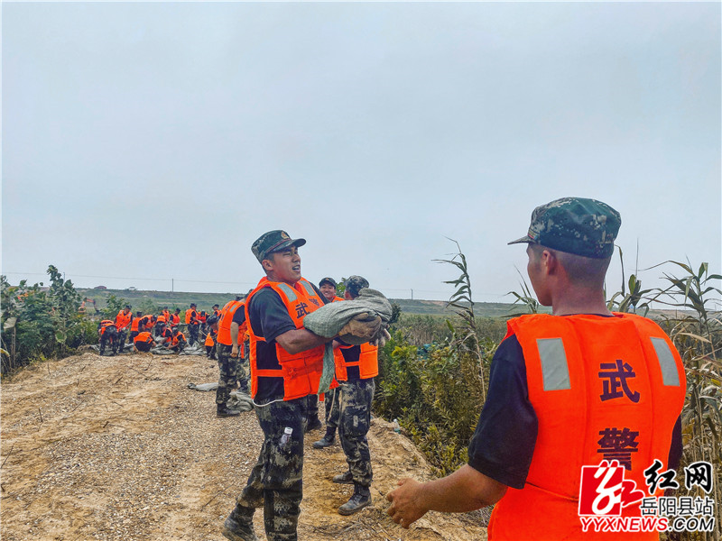 中洲乡2官兵接力运送砂袋.jpg