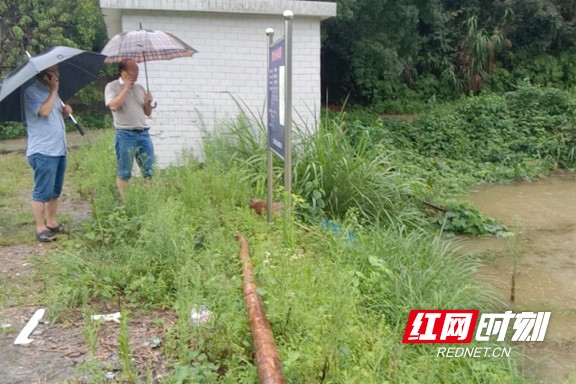 2b047f33cdb6417685abf336e0a504b8 (2).marked.jpg