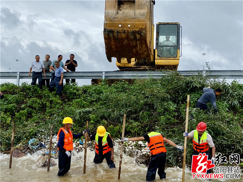 毛竹1施工人员将铁桩固定 挖机将铁桩打入水中.jpg