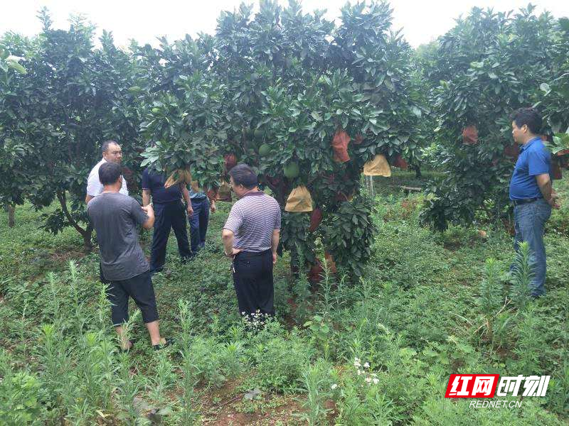 微信图片_20200730231012.jpg 微信图片_20200730231012.jpg