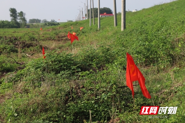 益阳大通湖：30名抢险队员 400袋砂卵石紧急压浸