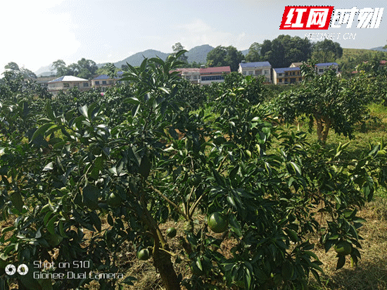 微信图片_202007301637193_副本.gif
