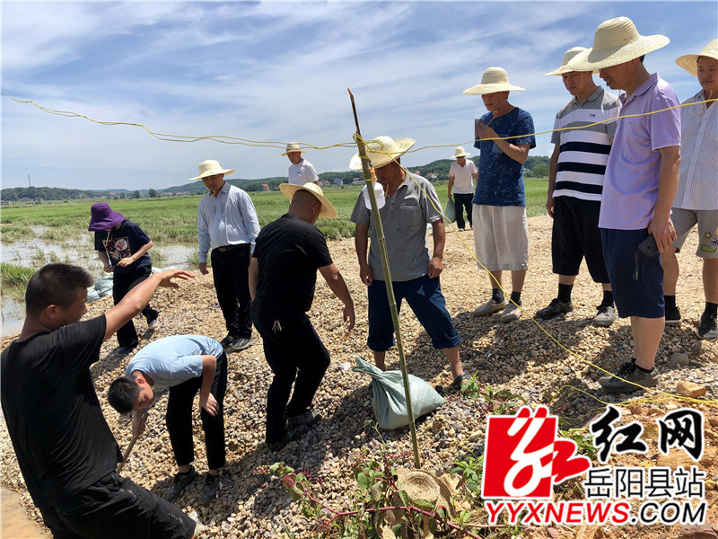️部门一把手和新开镇干部在杨柳垸大堤下对重点险工险段再排查_副本.jpg