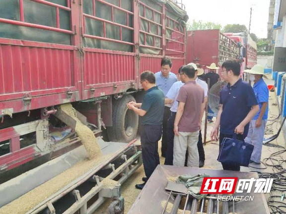 农发行总行领导带队深入沅江粮食收购现场。.marked.jpg