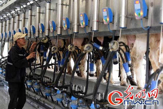 【幸福花开新边疆】挤28头奶牛只需15分钟 看科技牧场如何玩转畜牧业