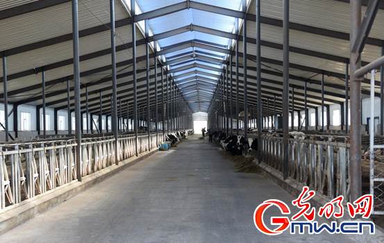 【幸福花开新边疆】挤28头奶牛只需15分钟 看科技牧场如何玩转畜牧业