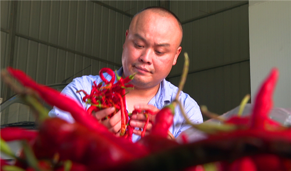 QQ图片20200805145550.jpg