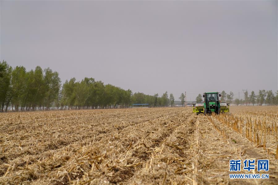 （在习近平新时代中国特色社会主义思想指引下——新时代新作为新篇章·习近平总书记关切事·图文互动）（6）为黑土加“油”——“耕地中的大熊猫”，我们这样保护