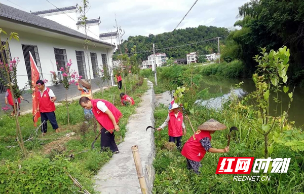 武冈：开展清理河道环境卫生志愿服务活动_副本.jpg