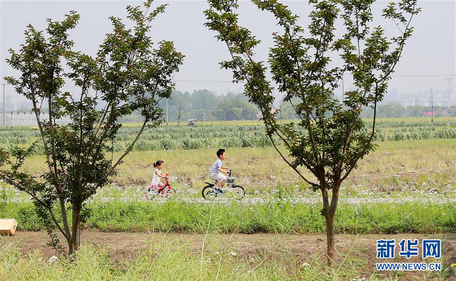 （新华全媒头条·走向我们的小康生活·图文互动）（14）城市，让人民生活更美好