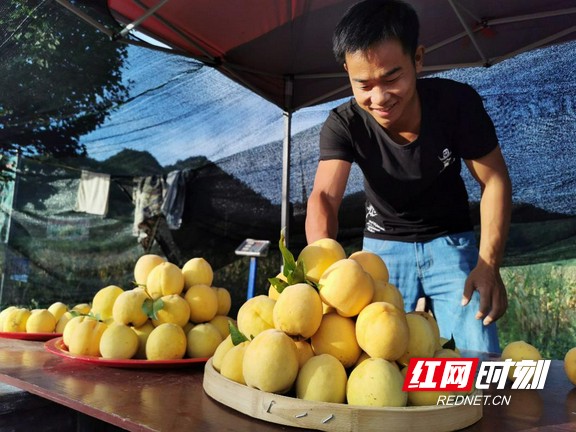 图片1.marked.jpg 图片1.marked.jpg