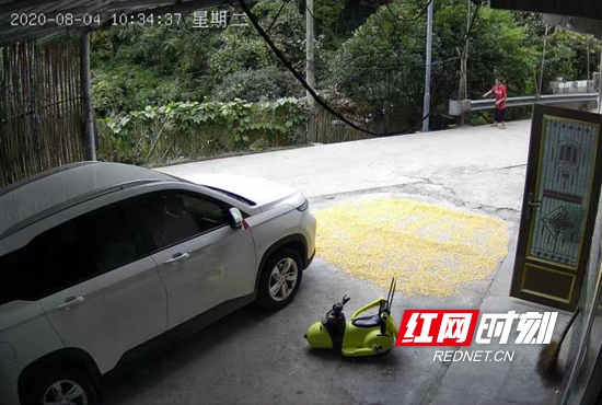 出走老人邻居家监控画面.jpg 出走老人邻居家监控画面.jpg