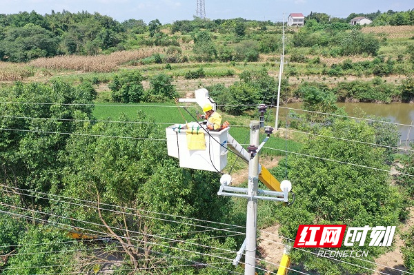 8月6日，国网澧县供电公司带电作业班张旭辉在大堰垱镇中武桥社区对10千伏楠中线进行高压带电搭头4（彭宁摄） - 副本.jpg