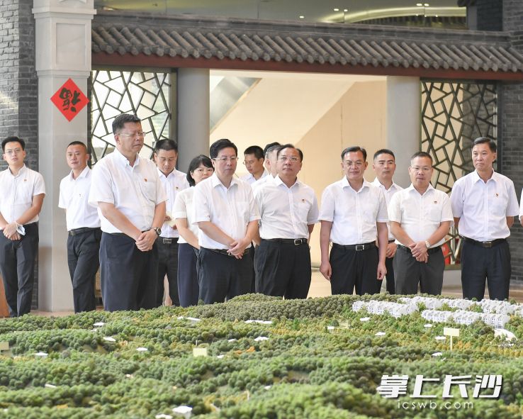 8月11日下午，阳江市党政代表团在长沙县果园镇浔龙河村考察乡村综合产业与村级集体经济工作。长沙晚报全媒体记者 余劭劼 摄