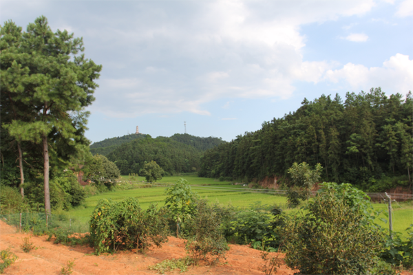 村林1.png