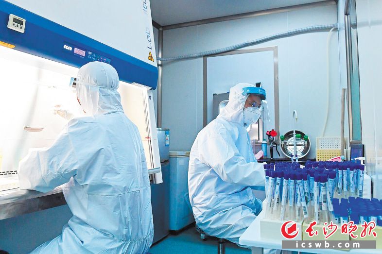 　　密闭的检验室内，邓胜和于爱清（右）对咽拭子样本进行检测。均为长沙晚报全媒体记者王志伟摄
