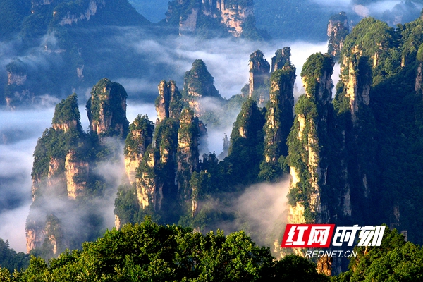 最美峰林——张家界天子山西海峰林-西海峰林是位于湖南省张家界市武陵源神堂湾的一处绝景。它的主要特点是数以千计的奇峰怪石拔地而起森列谷中。_副本.jpg