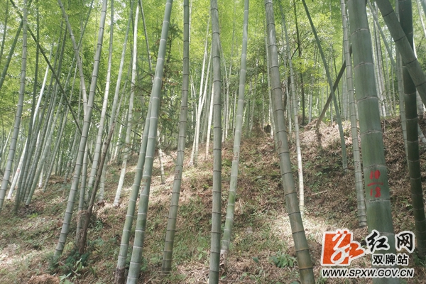01bf252ae98930685526c8eb46843e1_副本_副本_副本.jpg