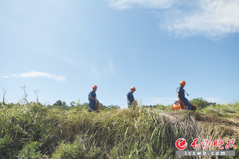 ↑烈日下，巡线队员们拎着抽水设备赶往作业地点。　　