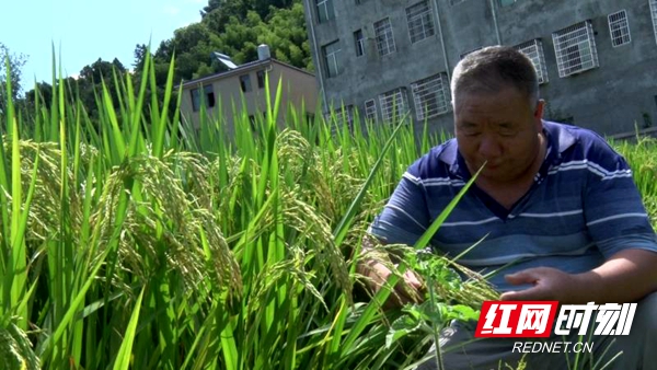 微信图片_20200814113727.jpg
