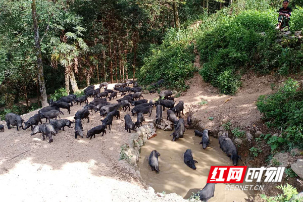 图片2_副本.jpg
