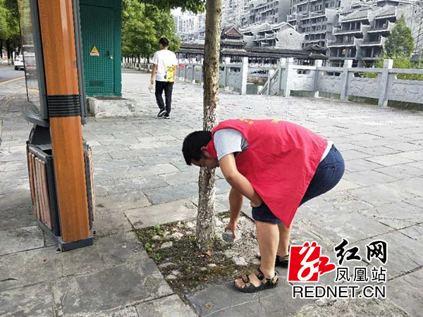 图片7.jpg