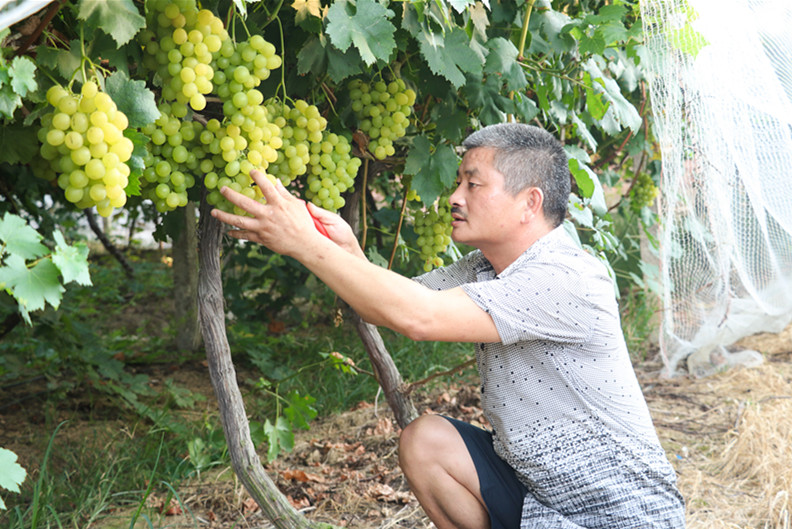 微信图片_20200819100424_副本.jpg 微信图片_20200819100424_副本.jpg