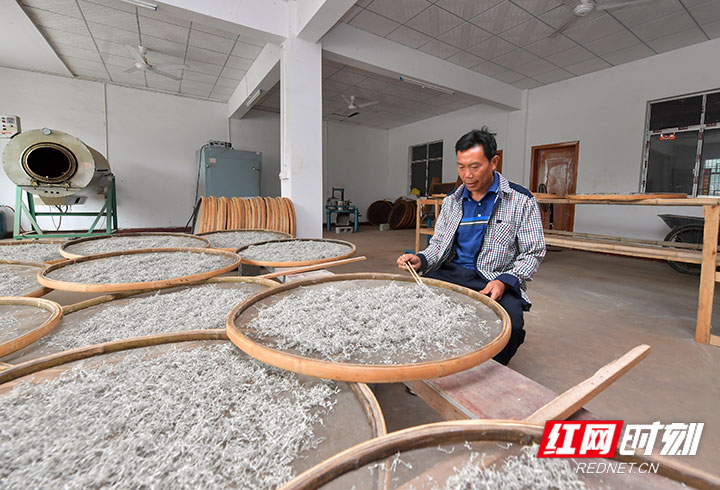 村民正在莓茶工厂里工作。.jpg