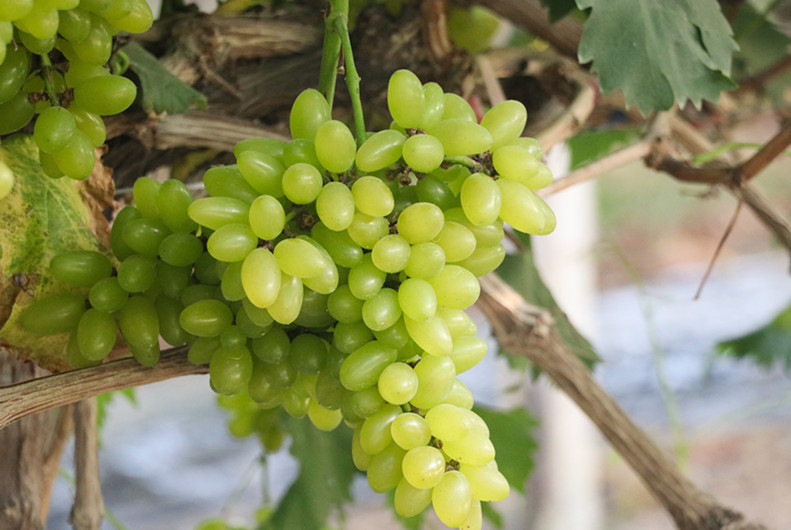 1_副本.jpg 1_副本.jpg