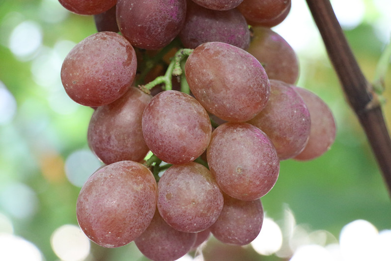 微信图片_20200819100429_副本.jpg 微信图片_20200819100429_副本.jpg