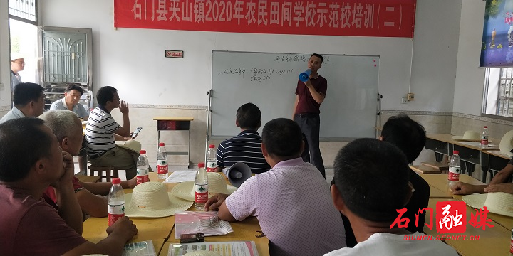 再生稻技术培训.jpg
