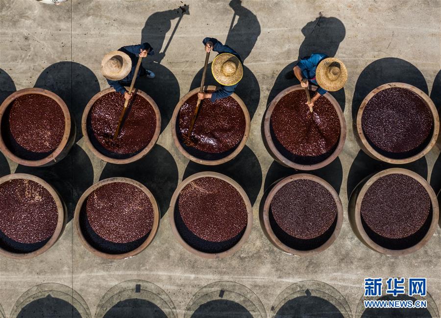(社会)(1)百年酱园“三伏”晒酱 传统酱品香飘满园