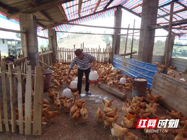 复件 DSC02738_wps图片.JPG