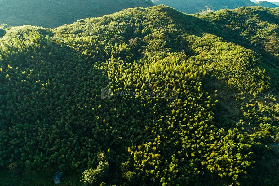 5848754_1541120812p5ZD.jpg 5848754_1541120812p5ZD.jpg