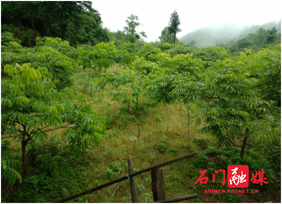 1598600137(1).jpg 1598600137(1).jpg