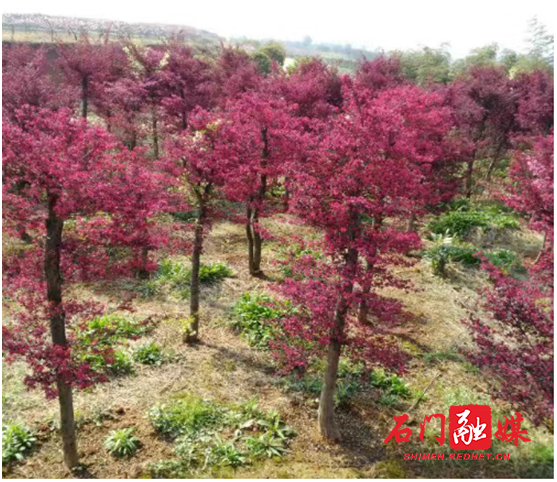 1598600123(1).jpg 1598600123(1).jpg