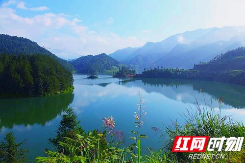 QQ图片20170803084842_副本_副本.jpg