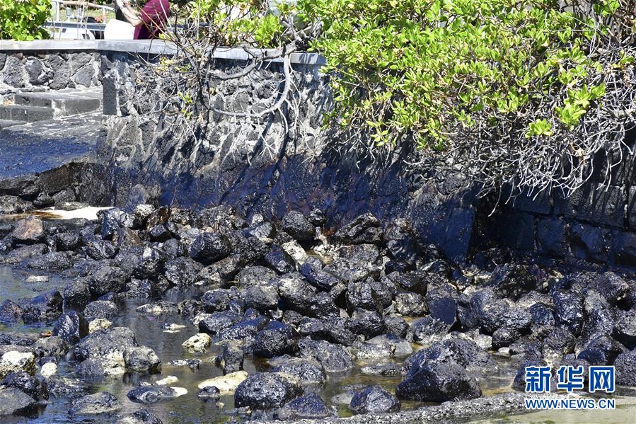 (国际)(1)毛里求斯总理称搁浅货船已停止漏油 但船体有进一步破裂风险