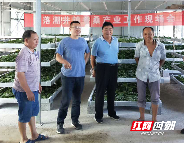 图片1.jpg