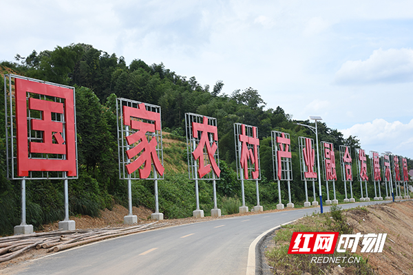 桃江县现代农业核心示范园。.jpg