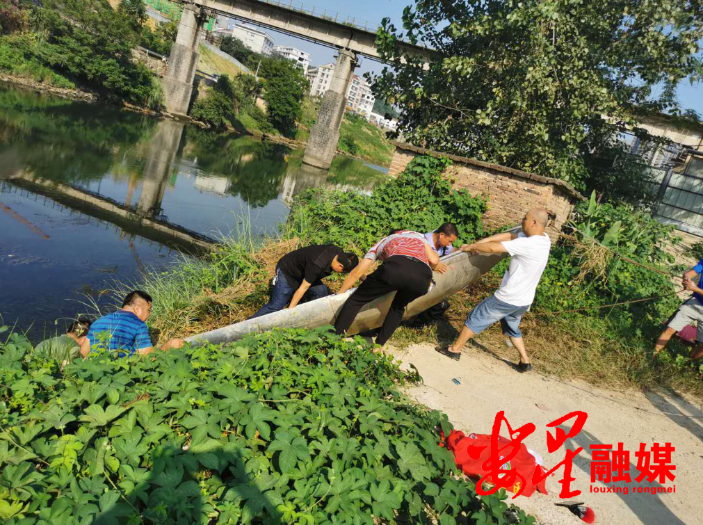 大科街道：有效推进“洞庭清波”专项整治.png